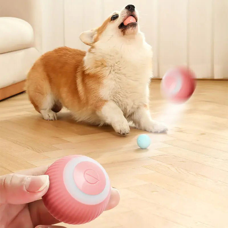 Electric Pet Toys Smart Puppy Ball Toys