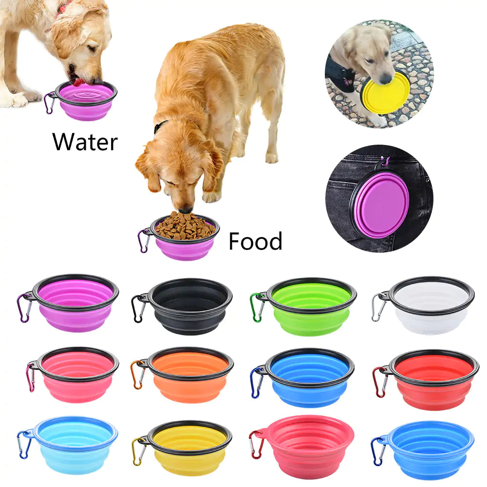 Pet Food Bowl