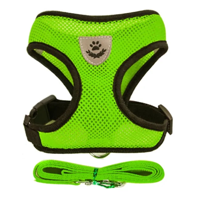 Pet Harness